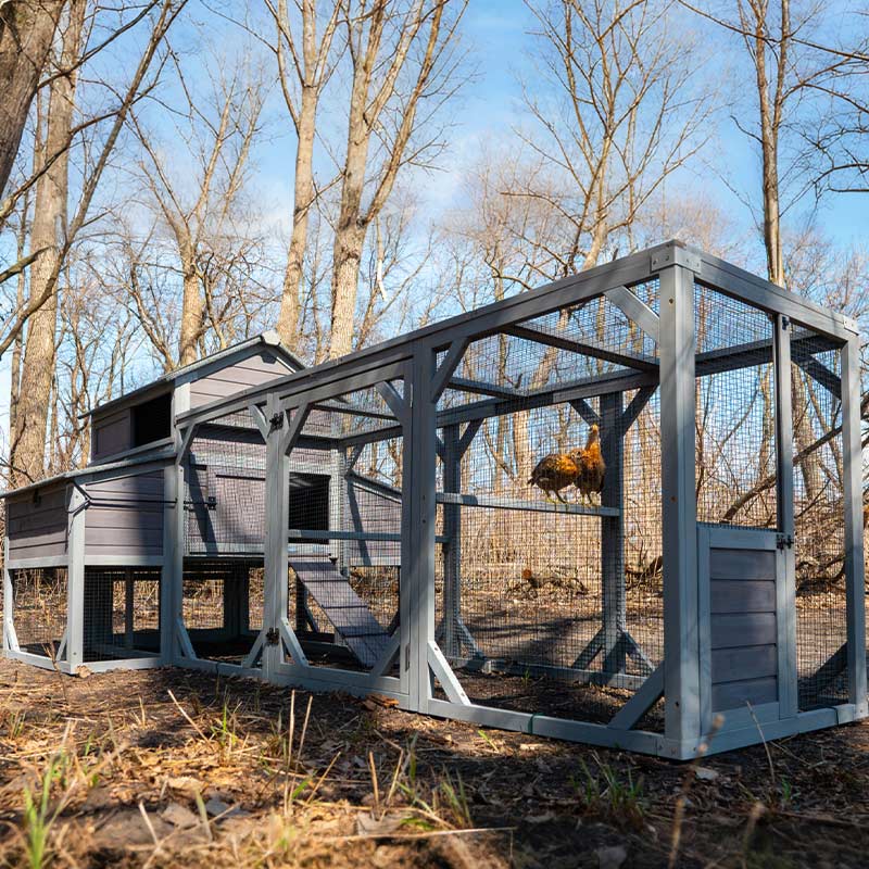 Aivituvin-AIR46-M 118" Large Outdoor Chicken Coop for 8-10 Chickens with Run ( Inner Space 41.28ft²)