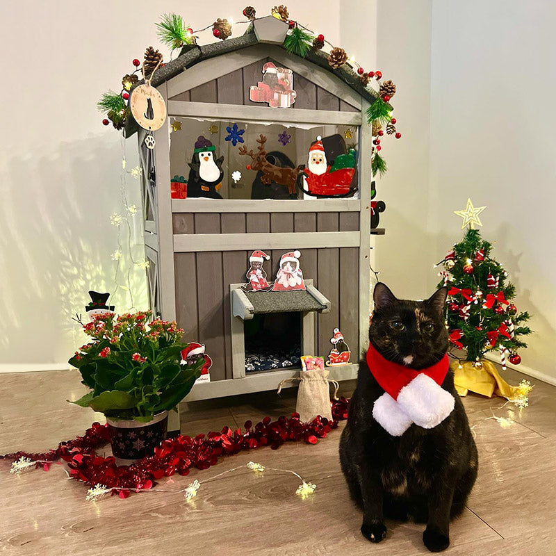 MEDEHOO Insulated Outdoor Cat House Weatherproof Feral Cat Shelter for Winter 2 Story Cat Condos Escape Doors with Balcony