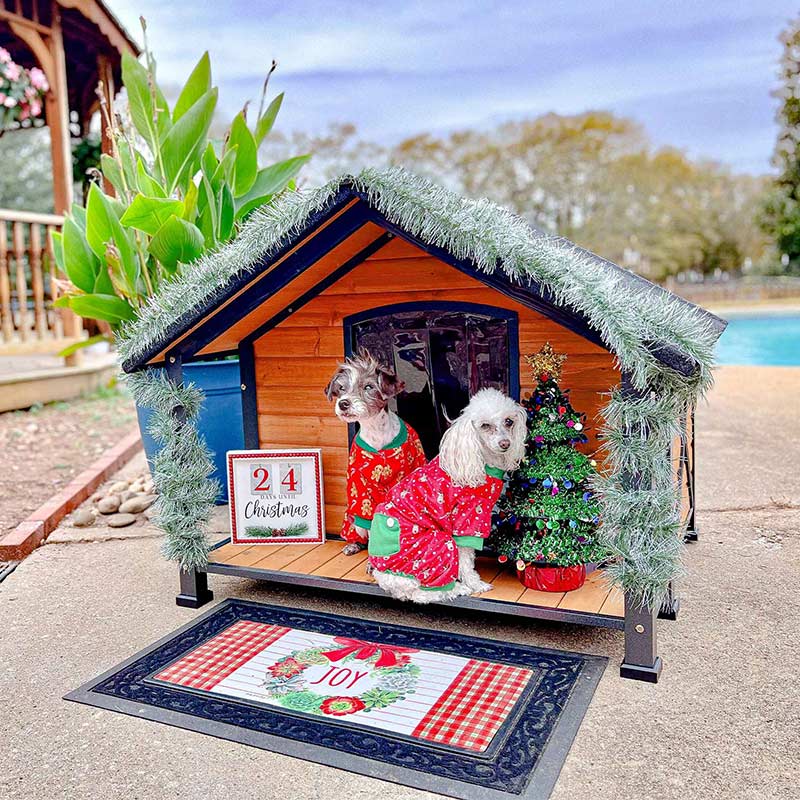Aivituvin-AIR88/89 40.5"L/41.6"L Waterproof Dog House with Anti-Chewing Metal Frame|Large Porch