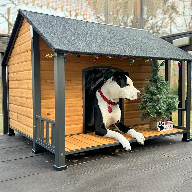 Aivituvin-AIR7010 47.2"L Weatherproof Dog House with Iron Frame| Asphalt Roof