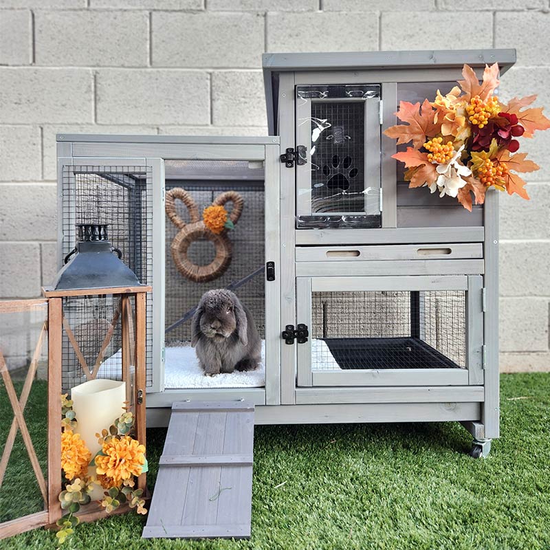 Aivituvin-AIR10 Outdoor and Indoor Bunny Hutch (Inner Space 8.3ft²)