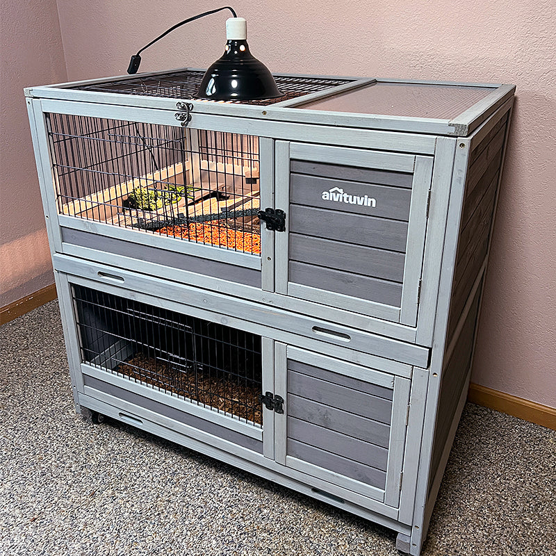 tortoise habitat