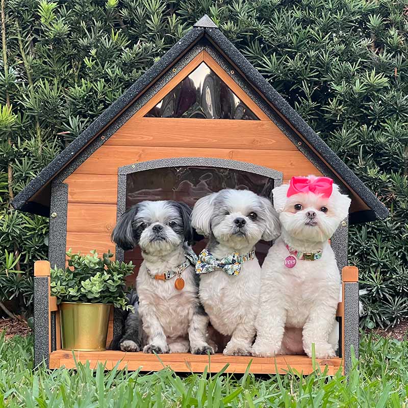 Aivituvin-AIR80/81/87 32.9"L/37.4"L Outdoor Dog House with Porch| Strong Iron Frame