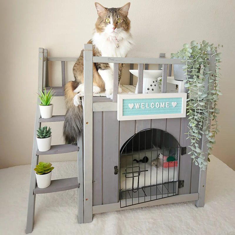 Morgete Small Wood Cat House Outdoor Kitty Shelter for Feral Cats