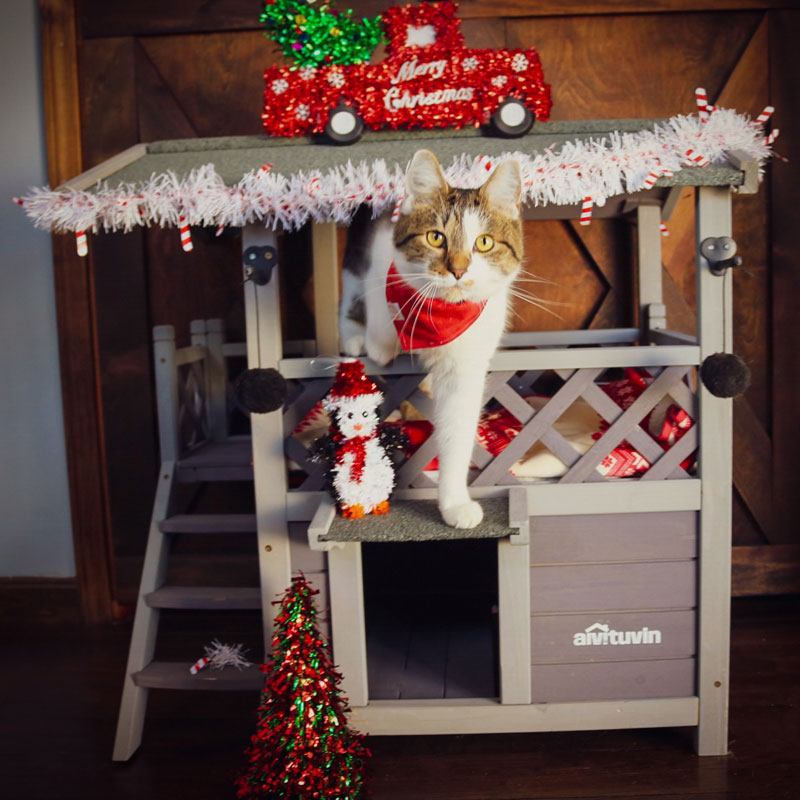 MEDEHOO Wood Cat House with Balcony, Outdoor Kitty Shelter with Stairs