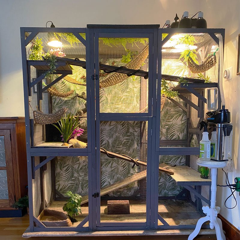 Aivituvin-AIR37 71.1"L Outdoor Enclosure for Chameleon | Lizards,Iguanas Cage