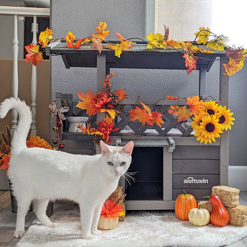 Aivituvin-AIR09-B Outdoor And Indoor Cat House(Inner space 5.2 ft²)