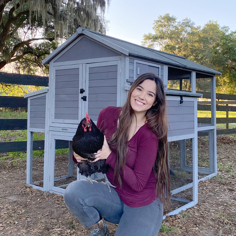 Aivituvin-AIR48 Large Chicken House for 6-8 Chickens