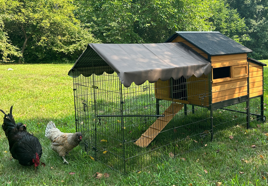 Best Chicken Coops on Wheels for Backyard Gardens (2026 Buyer's Guide)