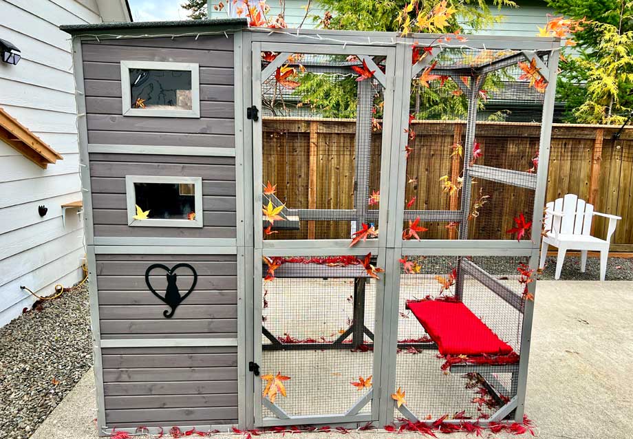 Best Outdoor Cat Enclosures in 2026: Find the Right Catio for Your Home & Cat