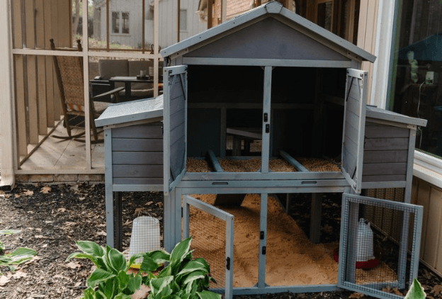 How to Build a Chicken Coop Door for Easier Flock Care