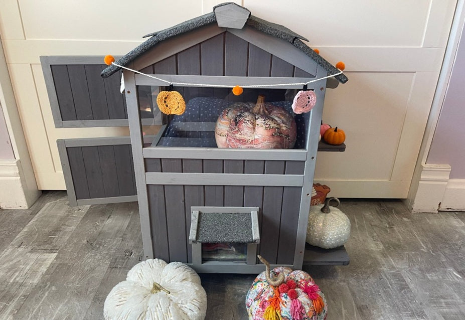2-Story Cat House vs Single-Story: Which Layout Fits Your Cats and Yard?