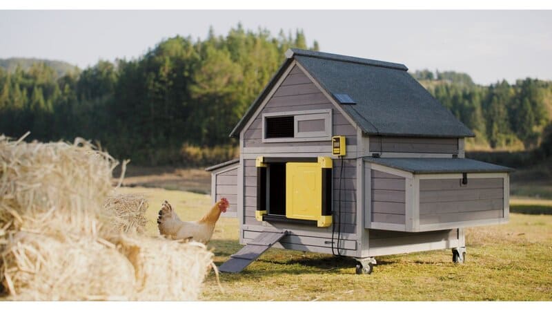 Best Automatic Chicken Coop Door in 2026: Top Picks & Buyer's Guide