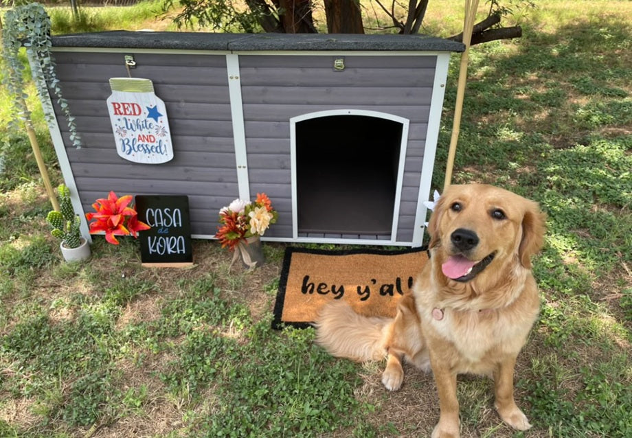Best Insulated Dog House for Outdoor Use: Wood vs Plastic vs Fabric