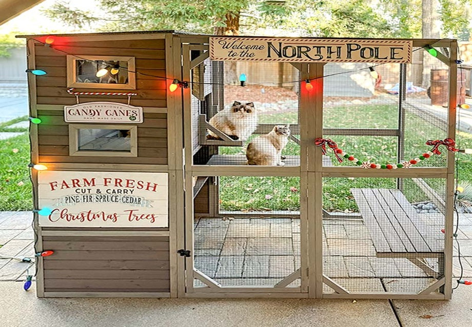 Best Outdoor Cat Enclosures in 2026: Find the Right Catio for Your Home & Cat
