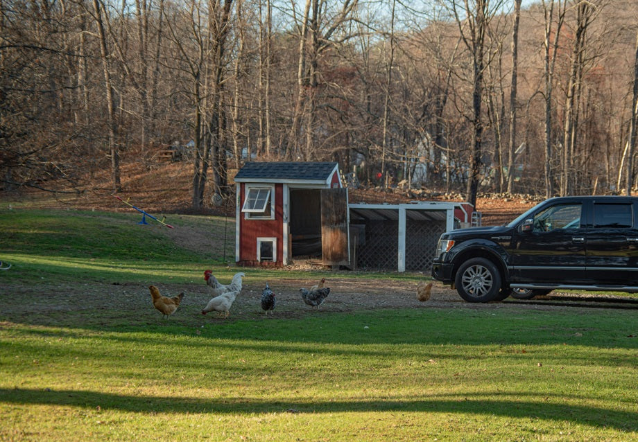 Chicken Tractor: What It Is, Benefits, and How to Choose the Right Model