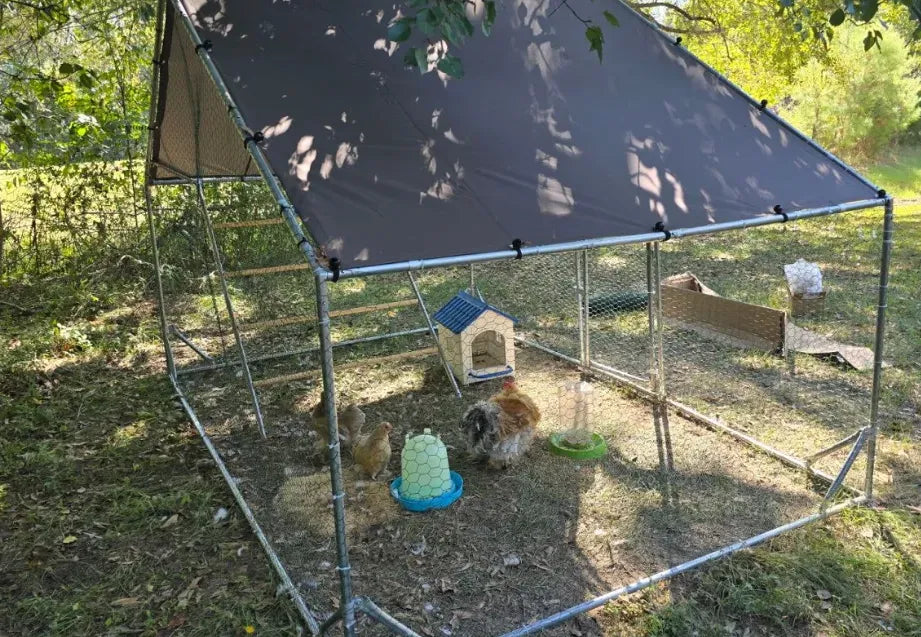 Chicken Run Explained: How to Build a Safe DIY Chicken Run – Aivituvin