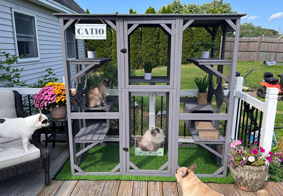 Large Catio