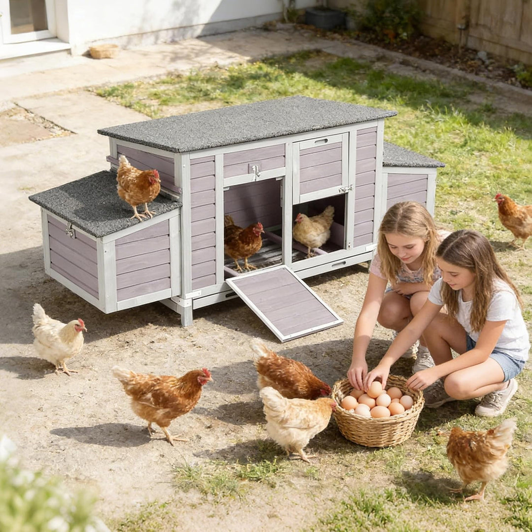MEDEHOO Large Chicken Coop for 4-6 Chickens, Reinforced Outdoor Wooden Hen House with 4 Sectionable Nesting Box, Easy Clean Pull-Out Tray, Waterproof Asphalt Roof - Grey