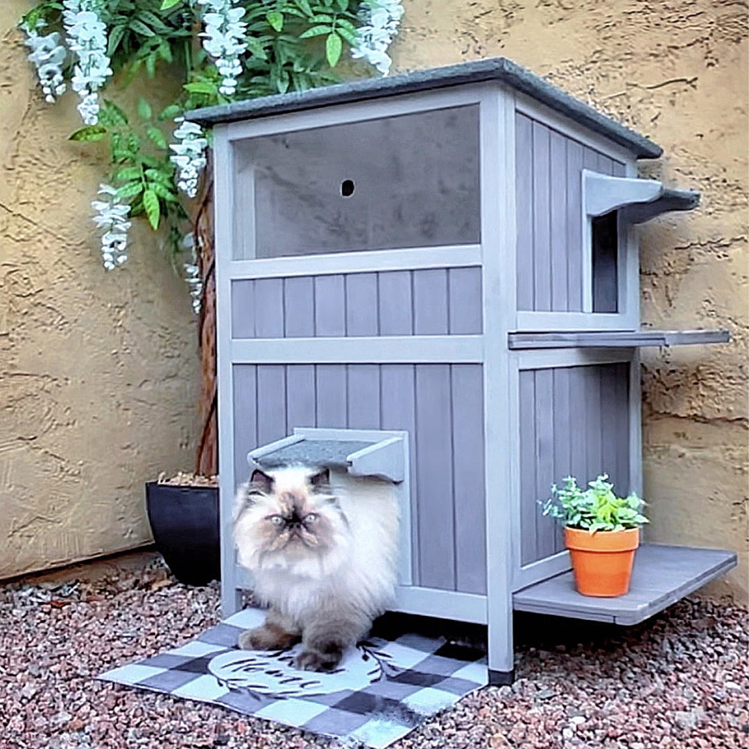 Outdoor Cat House 2-Story Feral Animals Shelter Cat Enclosure with Window &amp; Waterproof Roof BSR144