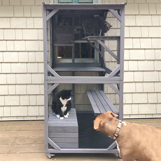 MEDEHOO Catio Outdoor Cat Enclosure with Wheels, Scratching Post, Resting Box and Waterproof Roof for Patio or Garden, 31.5"L x 31.5"W x 70.9"H AIR22-A11-WM