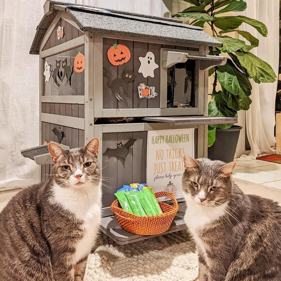MEDEHOO 2-Story Outdoor Cat House Large Weatherproof Feral Cat Shelter Wooden Elevated Kitty Condo with Openable Roof, 2 Large Side Doors, Acrylic Window Medium Winter Ready