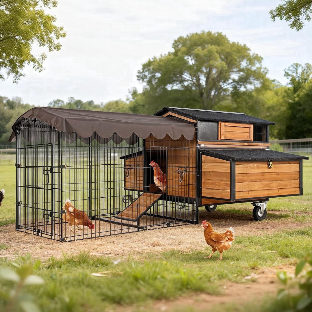 MEDEHOO Large Chicken Coop with Run, Mobile Chicken House with Wheels and All-Around Iron Frame,Portable Poultry Cage for 6-10 Chickens, Nesting Box