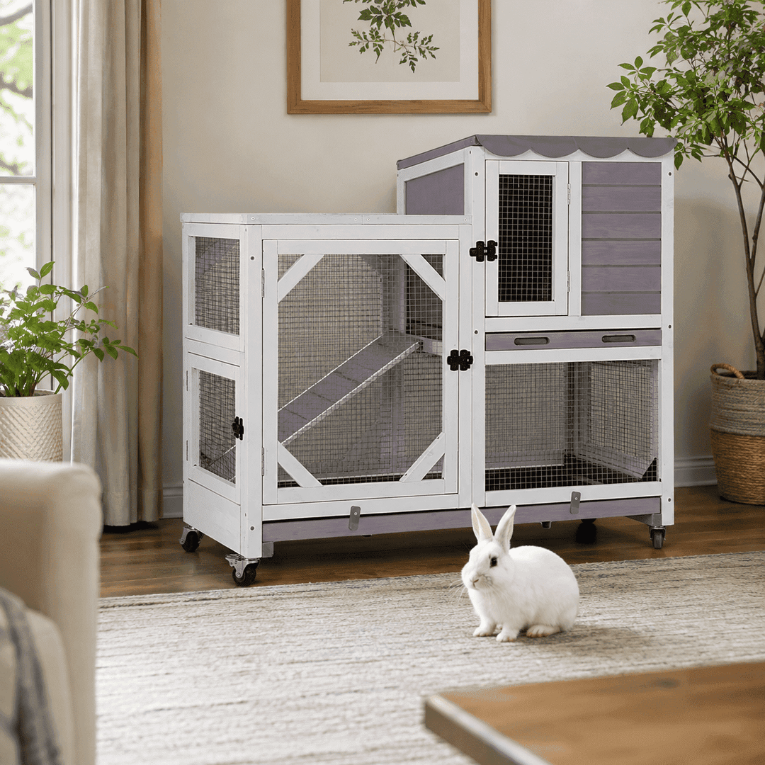 AIR7013-C/L-SF  2-Story Rabbit Hutch with Wheels