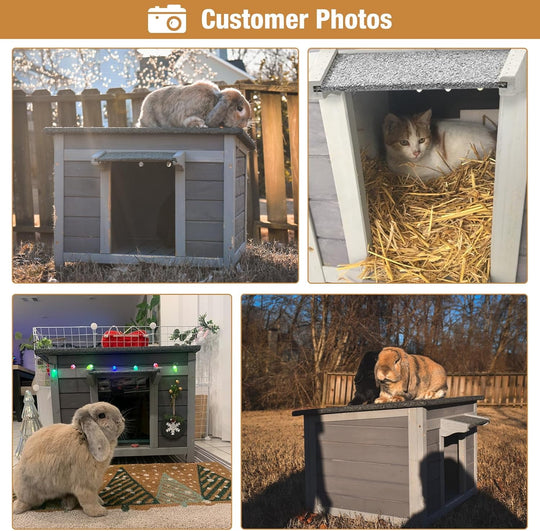 MEDEHOO Outdoor Cat House Feral Cat Enclosure, Small Pet House Rainproof Cat House