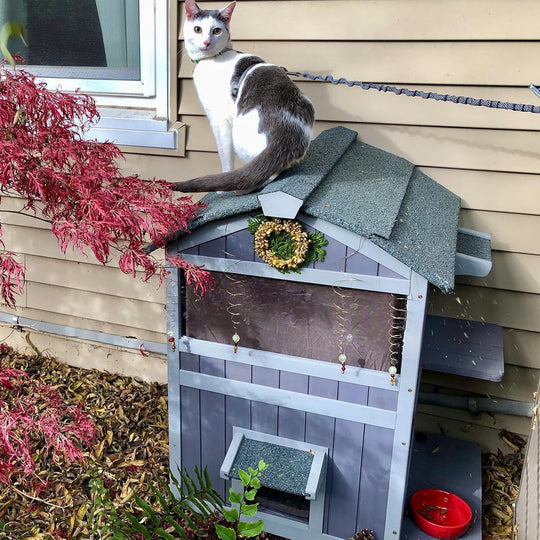 MEDEHOO 2-Story Outdoor Cat House Large Weatherproof Feral Cat Shelter Wooden Elevated Kitty Condo with Openable Roof, Large Doors, Acrylic Window