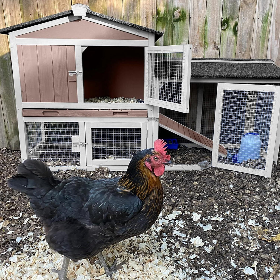 Chicken Coop Outdoor, Wooden Chicken House with Leakproof Tray and Waterproof Roof, Small Chicken Coops for 2 Chickens, Duck House, Rabbit Hutch (Brown) CK02-B-4DML-WM
