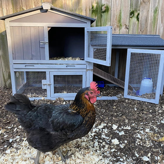 Chicken Coop Outdoor, Wooden Chicken House with Leakproof Tray and Waterproof Roof, Small Chicken Coops for 2 Chickens, Duck House, Rabbit Hutch (Gray) CK02-4DML-WM
