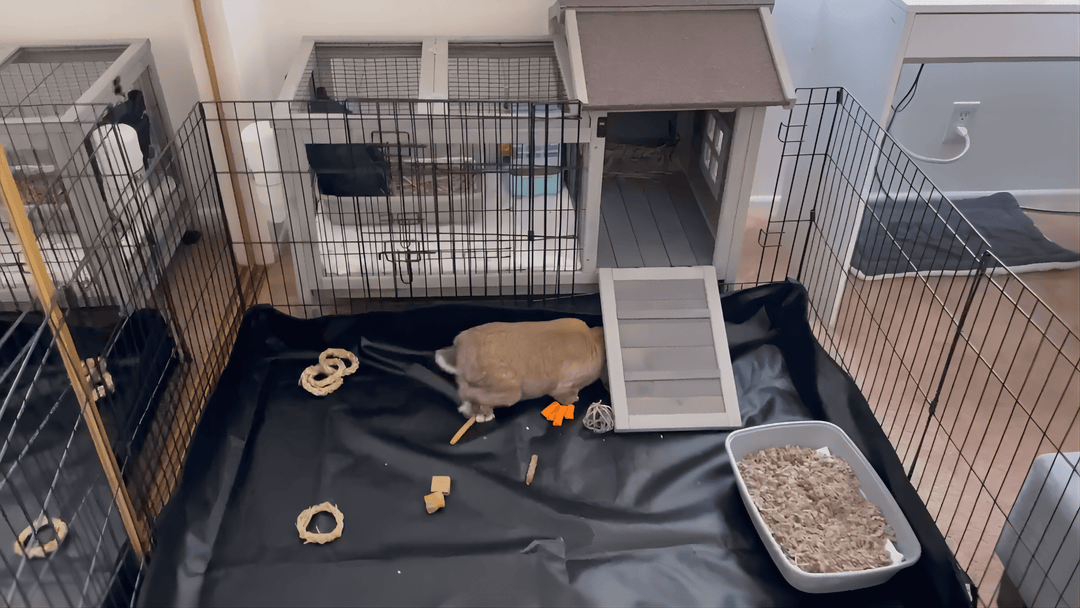 MEDEHOO Pet Playpen Small Animal Playpen for Rabbits Hamsters Guinea Pigs Cage Exercise Pen