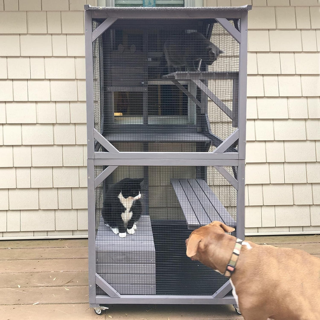 MEDEHOO Mobile Catio on Wheels - Outdoor Cat House Enclosure with Waterproof Roof &amp; Upgraded Resting Box, 70.9" Feral Cat Cage / Bird Cage AIR22-J-WM