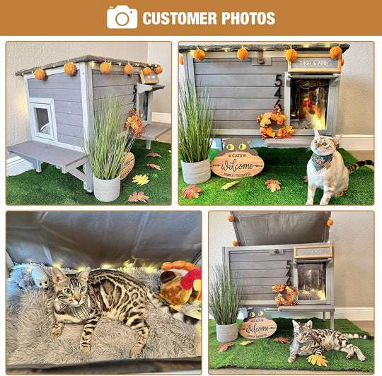 AIR91-G/F-ZJ Outdoor Cat House Insulated