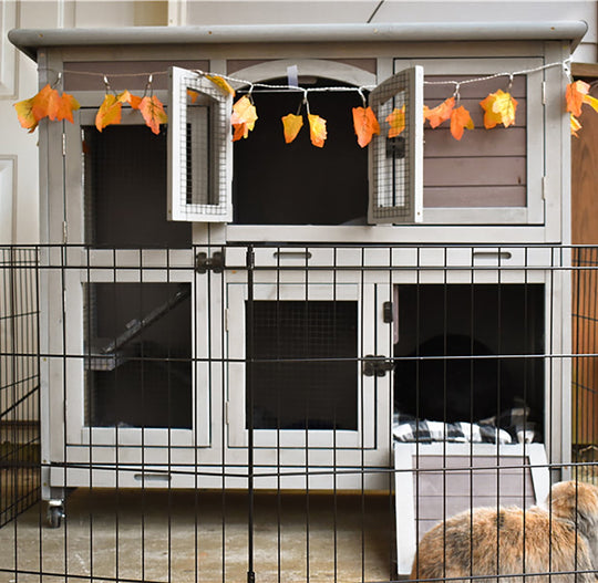MEDEHOO 2-Tier Indoor Rabbit Hutch Bunny Hutch Guinea Pig Cage with Plastic Trays, Wheels &amp; Ramp 47.2" Multi-Door Wooden Rabbit Cage for Rabbits, Bunnies, and Guinea Pigs (Brown) AIR006-D-WM