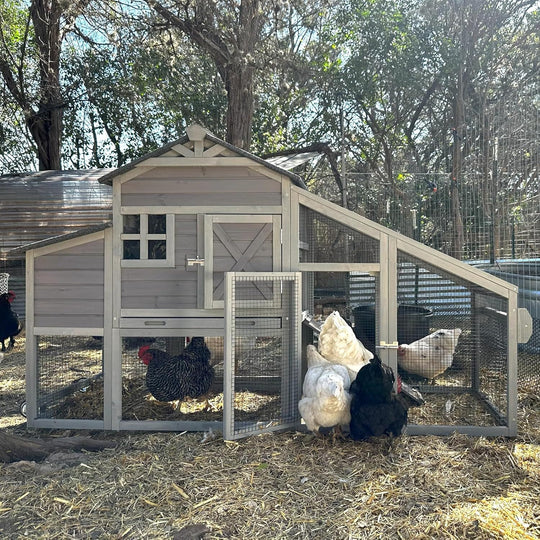 MEDEHOO Wooden Chicken Coop for 4 Chickens Mobile Chicken House on Wheels Expandable Poultry Cage with Large Nesting Box and Pull-Out Tray Grey