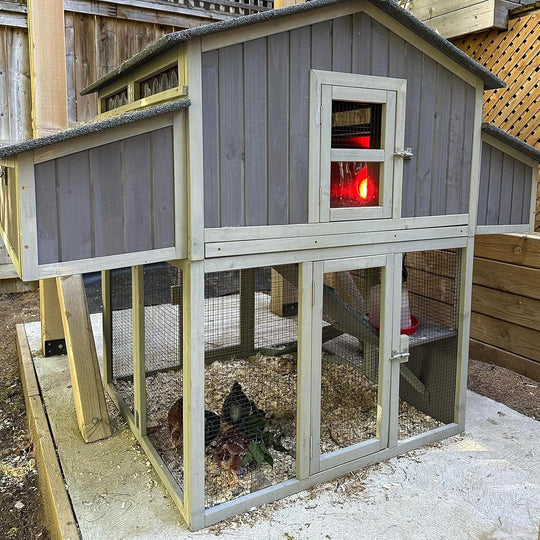 MEDEHOO Chicken Coop Large Poultry Cage with Strong Iron Edge Chicken House with Nesting Box Easy to Set Up Portable Chicken Coop for 6 8 Chickens
