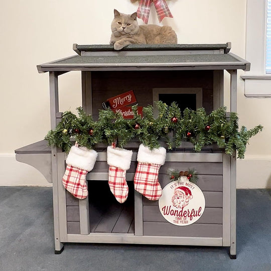 MEDEHOO Cat House Outdoor Kitty Shelter Waterpfoor for Winter, Indoor &amp; Outdoor Use