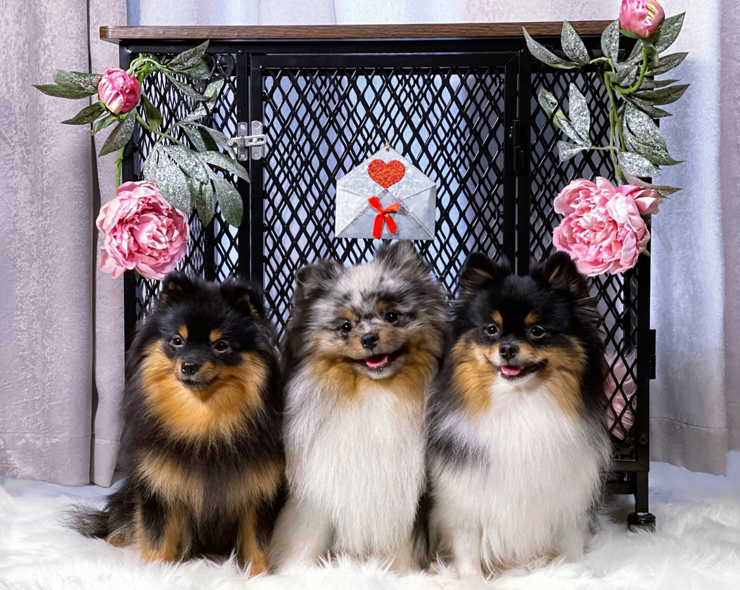 MEDEHOO Dog Crate Furniture Wooden Dog House Small Medium Large Dogs with Cushion Tray