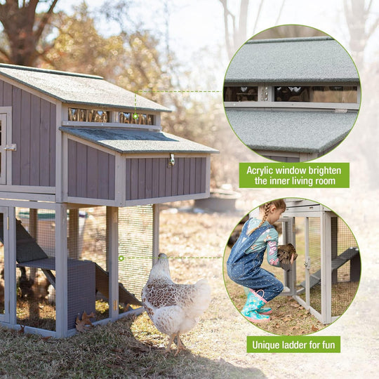 MEDEHOO Folding Large Chicken Coop Chicken House for Outdoor, Poultry House with Two Nesting Box, Leakproof Pull-Out Tray &amp; UV-Resistant Roof Panel AIR66-N-WM2
