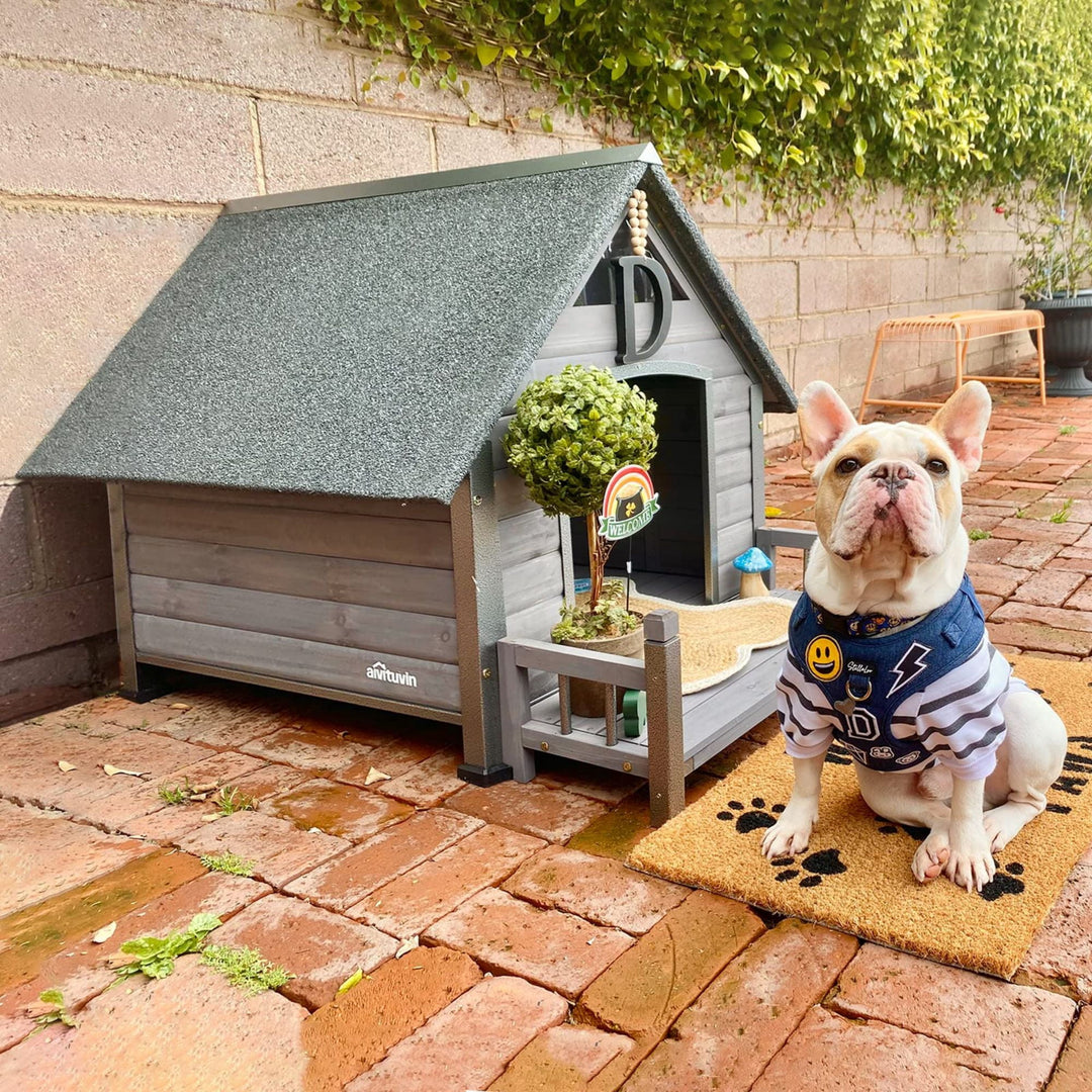 MEDEHOO Outdoor Dog House, Puppy Shelter, Anti-Bite Design for Medium Dogs with Porch