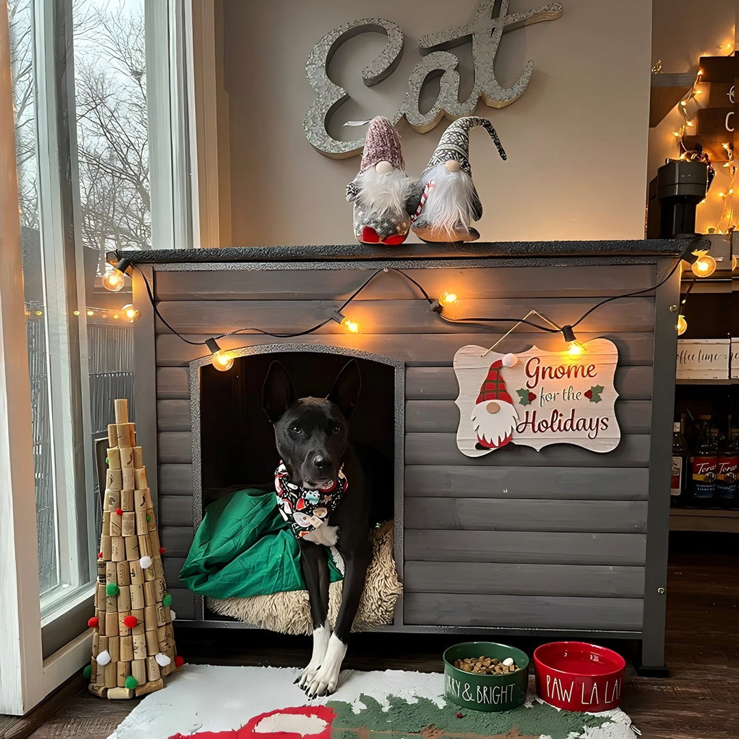 MEDEHOO Large Outdoor Insulated Dog House Indestructible Dog Shelter Weatherproof Dog Kennel with Chew-Proof Metal Frame, Openable Roof for Small to Large Dog Breeds (Grey, 33.5"L x 22"W x 25.2"H)