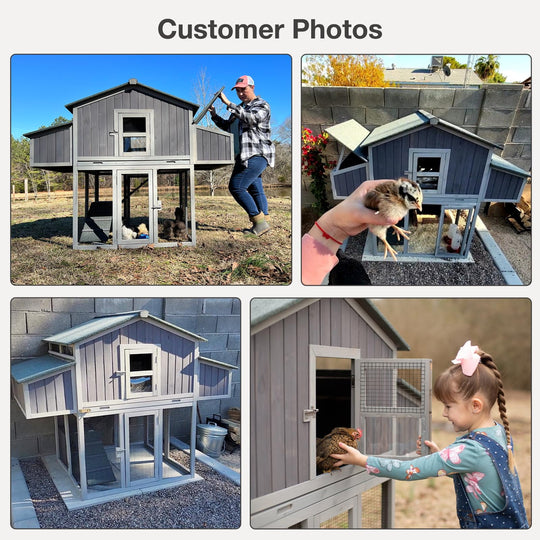 MEDEHOO Large Chicken Coop, Folding Chicken House for Outdoor with Two Nesting Box, Leakproof Pull-Out Tray, UV-Resistant Roof Panel, Gray MED66-WM
