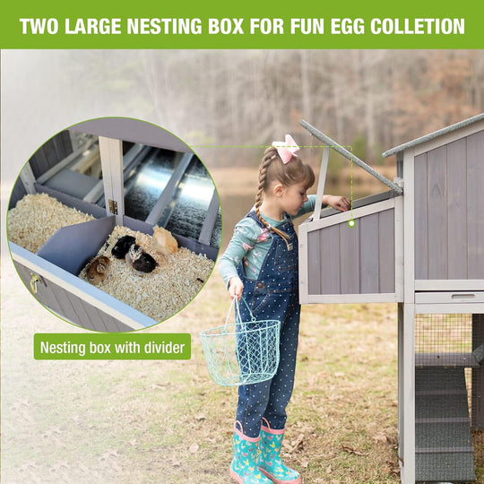 MEDEHOO Folding Large Chicken Coop Chicken House for Outdoor, Poultry House with Two Nesting Box, Leakproof Pull-Out Tray &amp; UV-Resistant Roof Panel AIR66-N-WM2