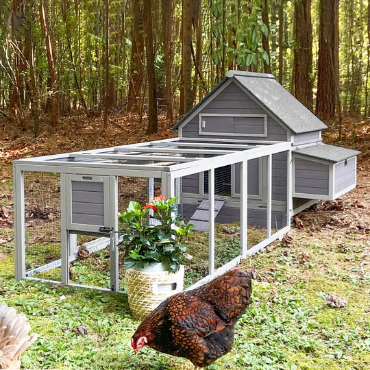 MEDEHOO 79"L Chicken Run, Large Chicken Coop Extension with 5 Doors, Chicken Pen Pet Playpen 20.73 ft² MED60-66-WM
