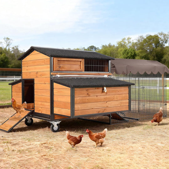 MEDEHOO Large Chicken Coop with Run, Mobile Chicken House with Wheels and All-Around Iron Frame,Portable Poultry Cage for 6-10 Chickens, Nesting Box