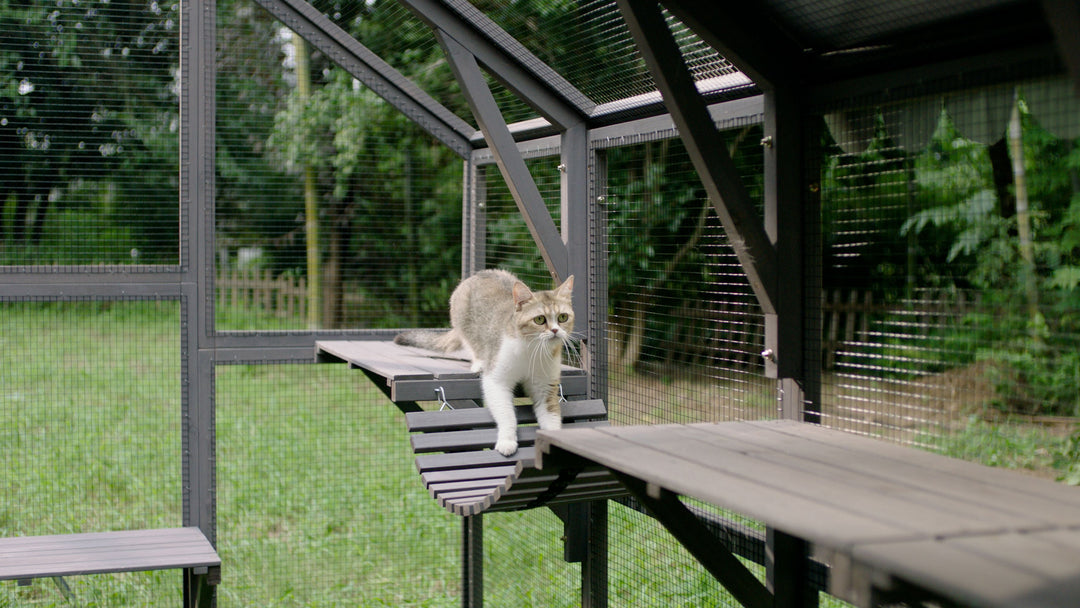 MEDEHOO 110'' Extra Large Catio Outdoor Cat Enclosure, Walk-in Wooden Cat Cage with Bridges, Platforms, Rest Rooms, Roof Cover AIR52-WM