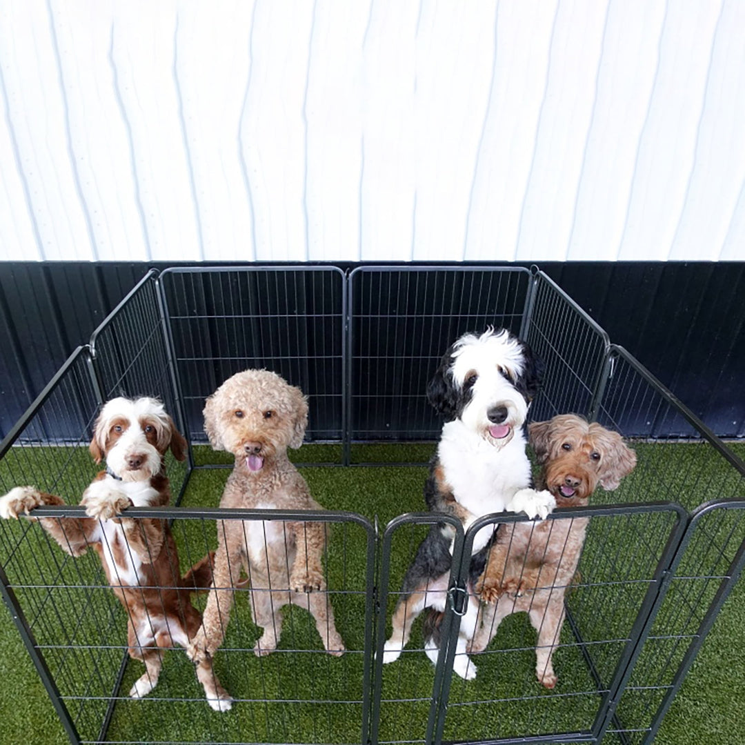 MEDEHOO Dog Playpen Indoor Dog Pen Outdoor Puppy Fence 8 Panels Pet Playpen with Doors for Large/Medium/Small Dogs (8 Panels,39 Inch AIR51-N-WM