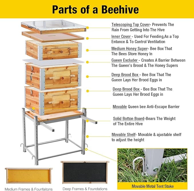 MEDEHOO Bee Hive Boxes Upgrade All -Around Metal Beehive Bee Castle Coated with 100% Beeswax